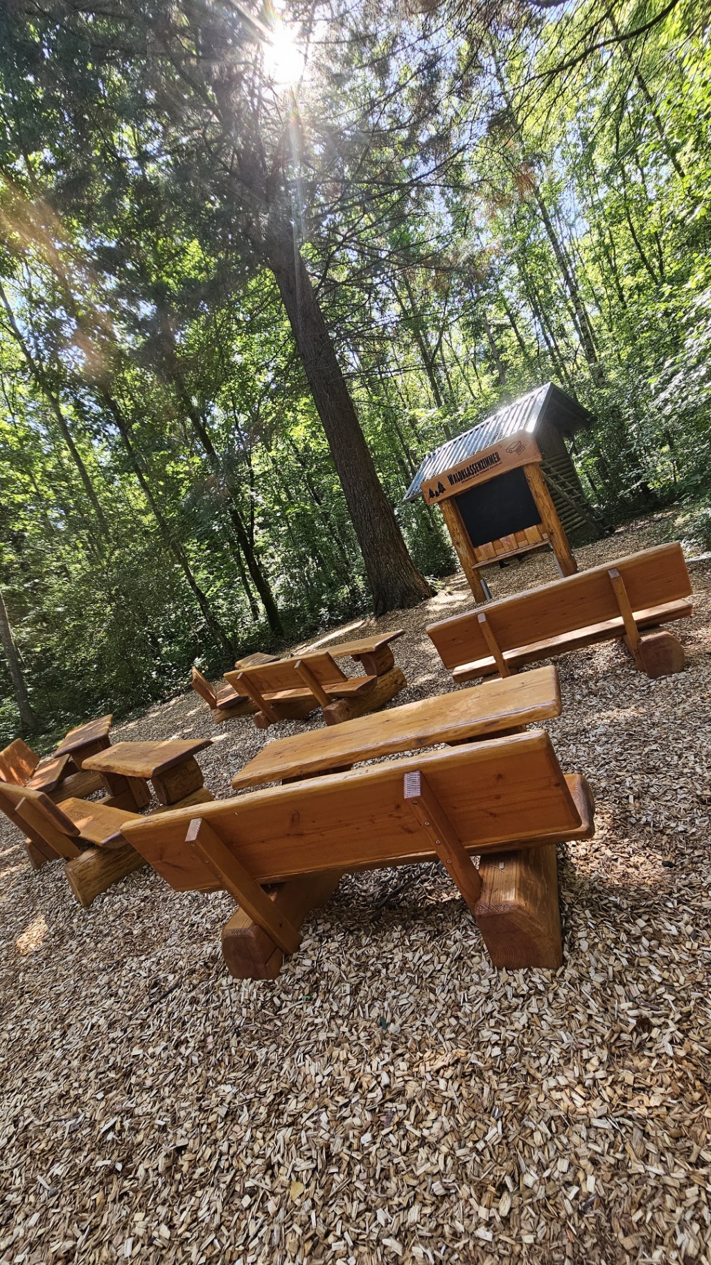 Waldklassenzimmer aus Douglasienbänken im Wald