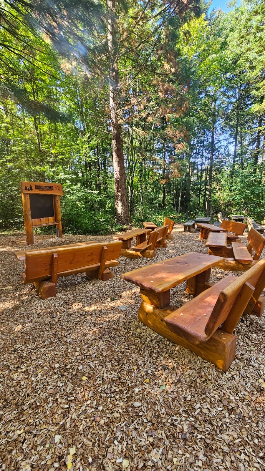 Waldklassenzimmer aus massiven Douglasienbänken auf einem Schulhof